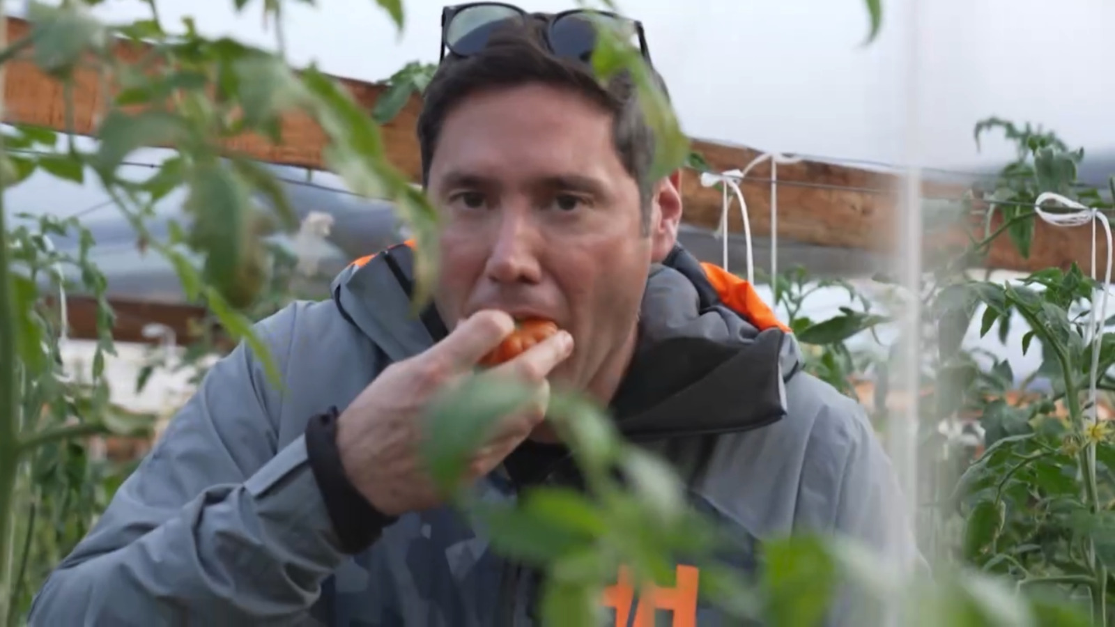 [VIDEO] “Lugares que hablan” mostró la maravillosa historia del tomate limachino