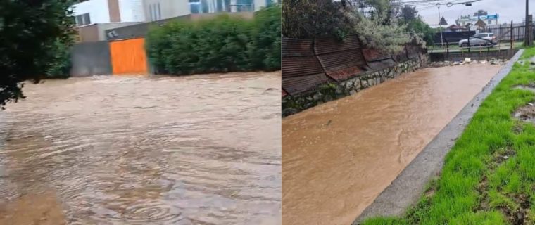 Limache lluvias y asilados