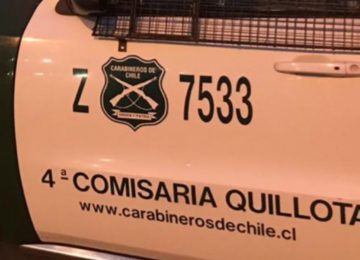 Maltrato gato en Quillota