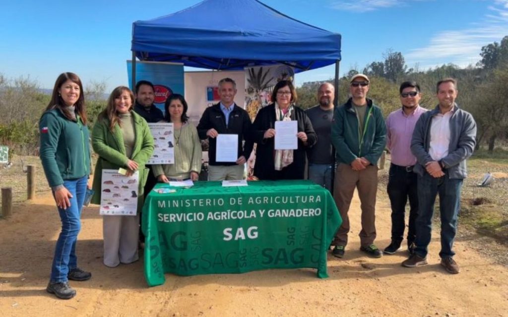 Sopraval, Fundación Parque Natural Los Pinos y el SAG preservarán fauna nativa afectada por los incendios en Quilpué