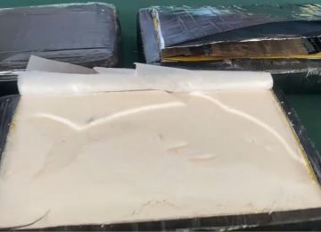 Hijuelas Hallan cocaína de alta pureza con grabado de delfín, símbolo de peligroso cartel mexicano
