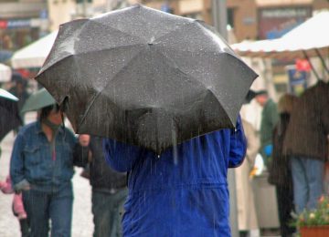 https://www.meteochile.gob.cl/PortalDMC-web/index.xhtml