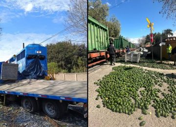 Camión que transportaba paltas colisionó con tren metalero en Panquehue