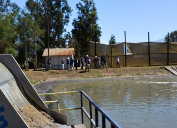 Condenan a la Municipalidad de Nogales por daño ambiental en El Melón