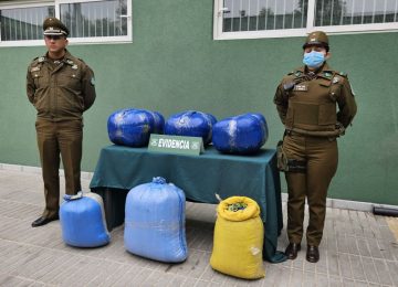 Incautaron casi 80 kilos de hojas de coca en el paradero del peaje Las Vegas