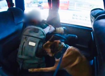 En Nogales perros policiales detectaron droga en equipaje de bus
