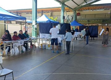 Villa Alemana: Por accidente echó su carné en la urna