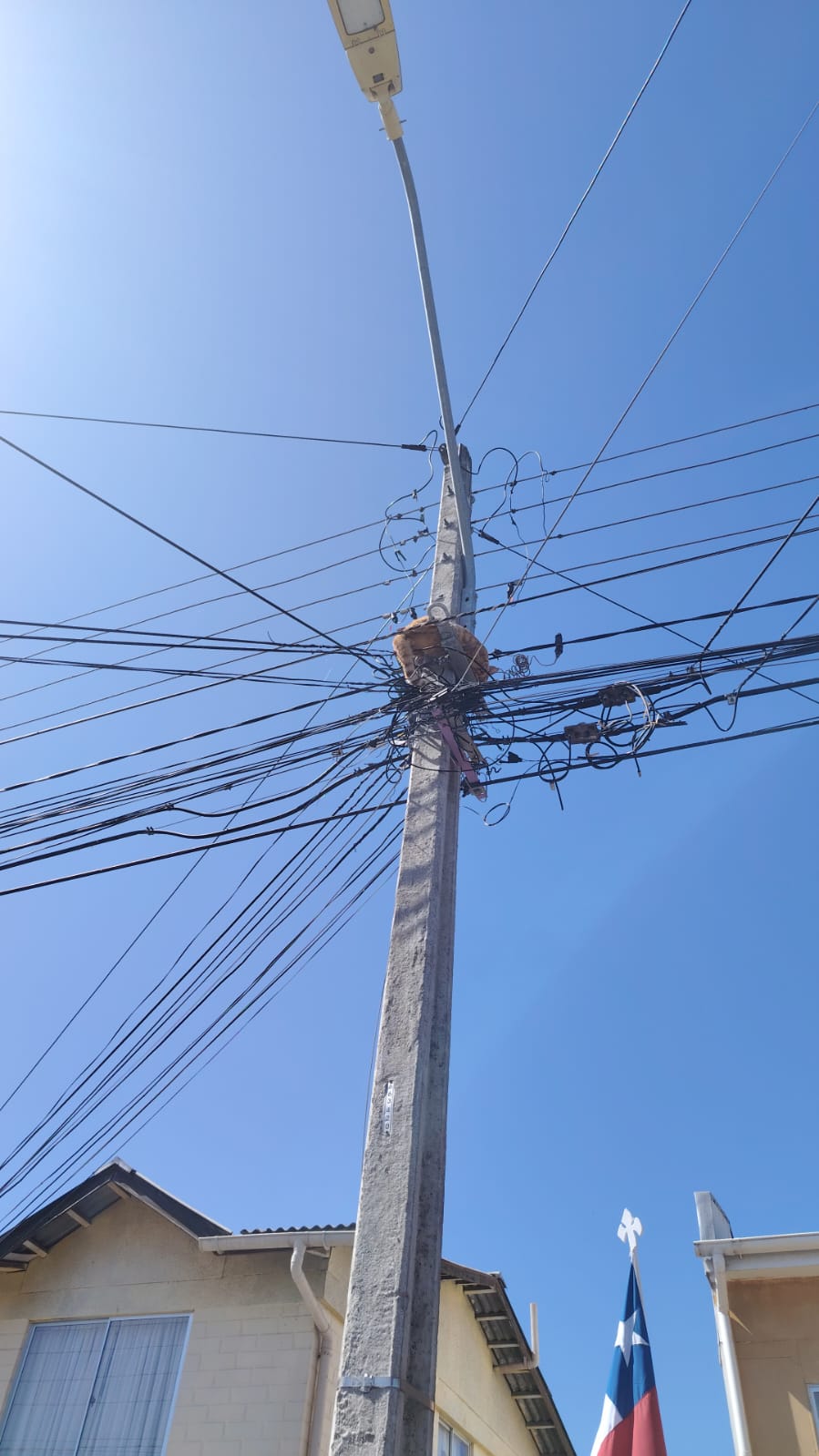 En Quillota bomberos salvaron a gato atrapado en poste de luz