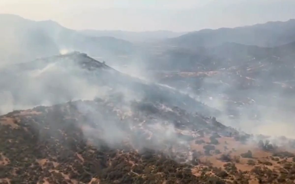 Hijuelas: Indagan responsabilidad en incendio que ha consumido 71 hectáreas 
