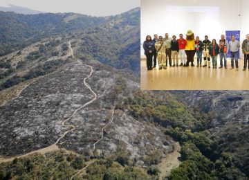 Zapallar refuerza su estrategia preventiva de incendios forestales