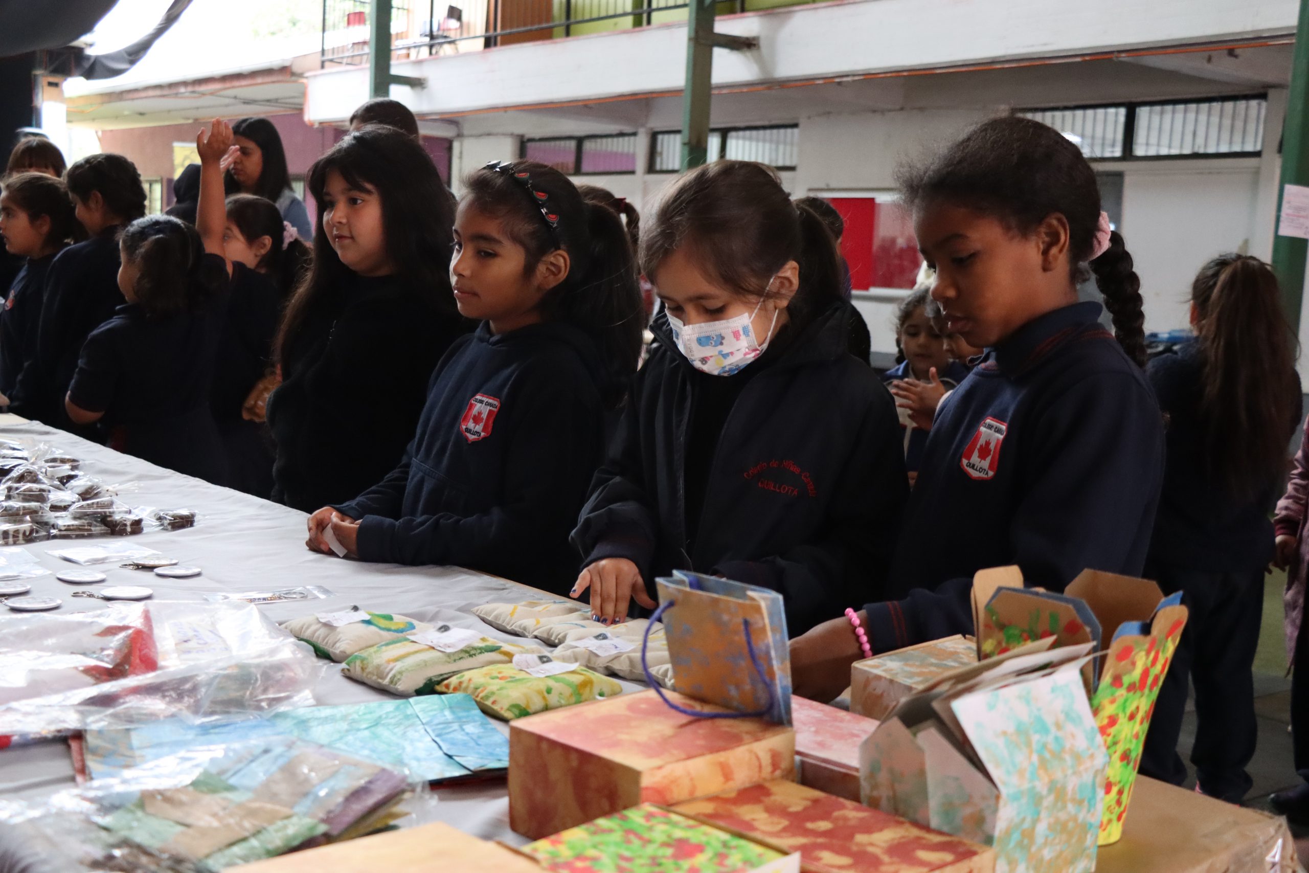 Colegio Canadá de Quillota realizó Feria de la Inclusión