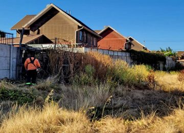 Quillota: Fiscalizan y multan a dueños de terrenos que no cortan sus pastizales