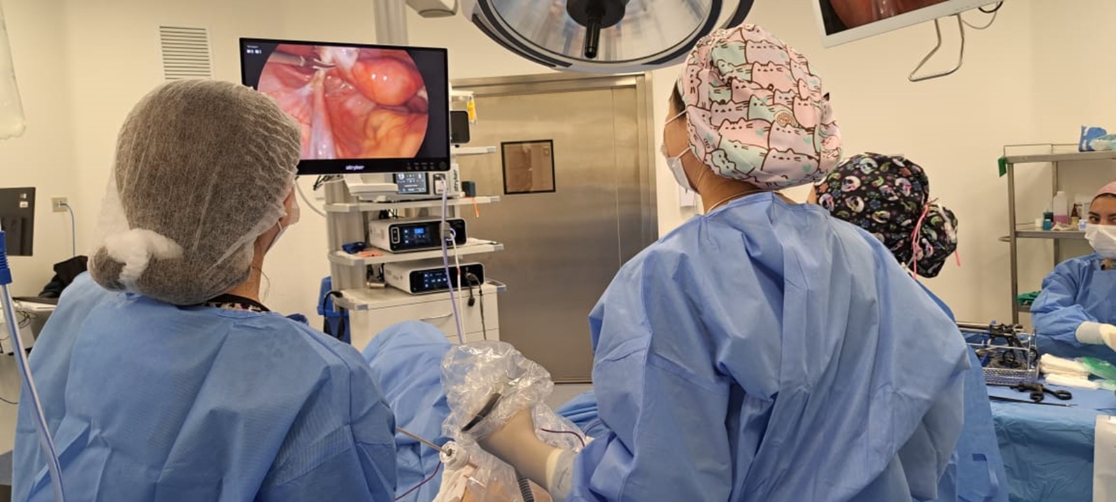 Hospital Biprovincial debuta en las cirugías para mujeres con endometriosis