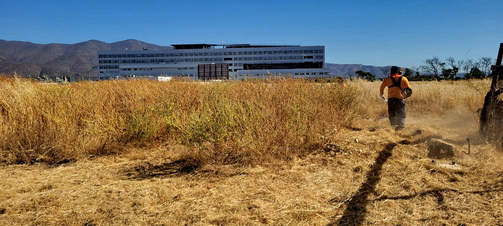Quillota Fiscalizan y multan a dueños de terrenos que no cortan sus pastizales