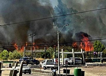 Combaten voraz incendio forestal en Lo Rojas en La Cruz