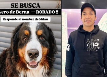 Robaron el perro del ex futbolista Matías Fernández en Nogales