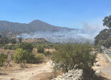 Cuatro detenidos por incendio forestal que dañó 40 hectáreas en Ocoa