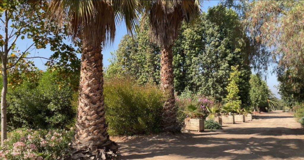 Descubre la Ruta Veraniega de La Cruz: Un destino que combina historia, naturaleza y tradiciones