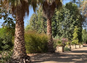 Descubre la Ruta Veraniega de La Cruz: Un destino que combina historia, naturaleza y tradiciones