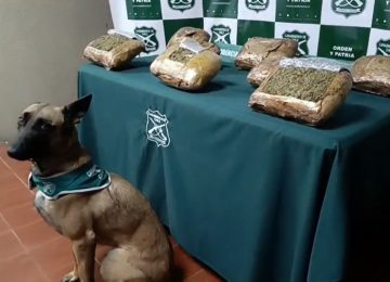 Nogales: Detienen a tres personas en bus tras incautación de drogas