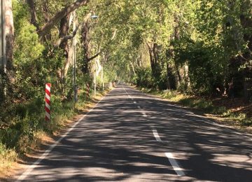 Conductor atropelló a motociclista en Rabuco y huyó sin prestarle ayuda
