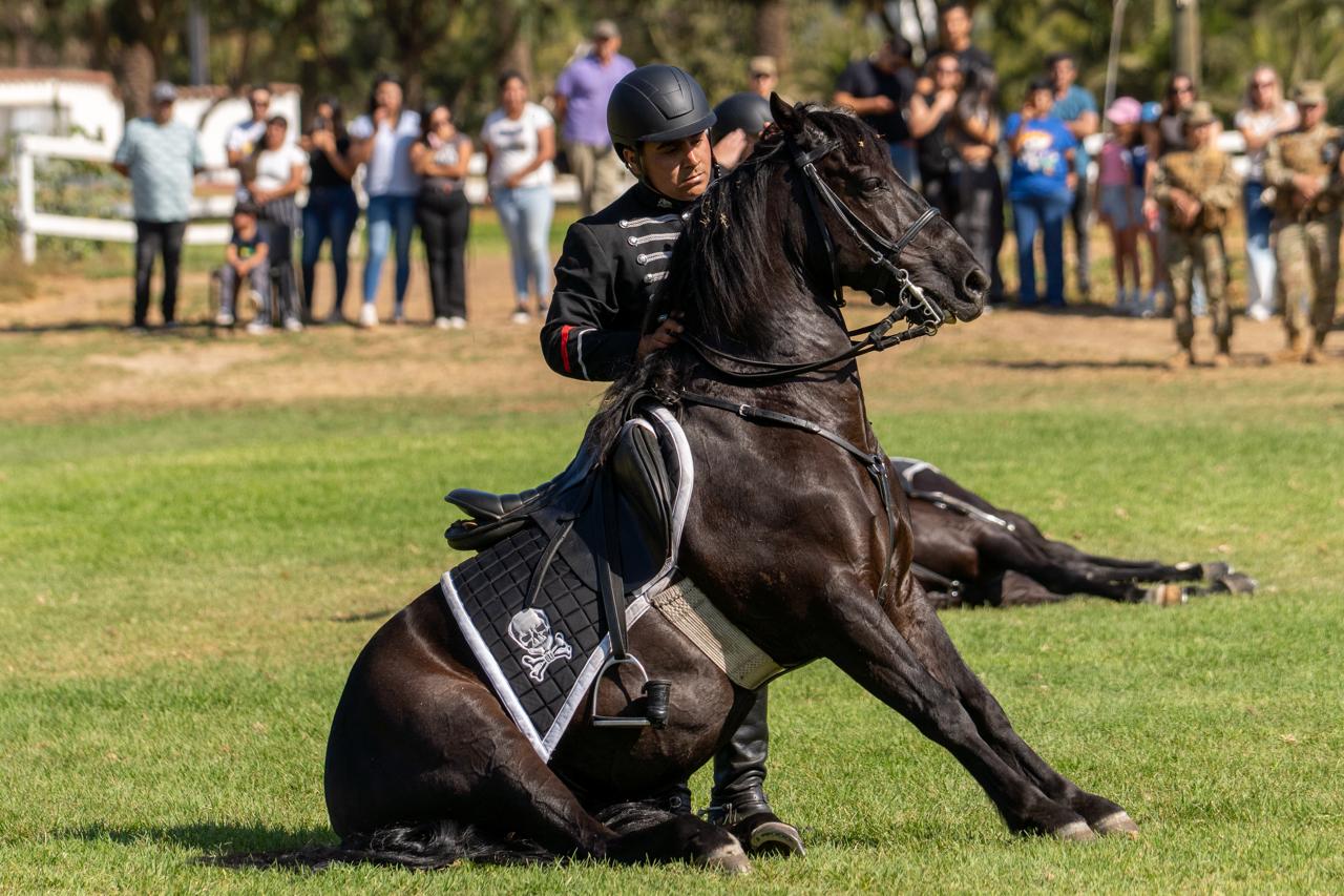 [FOTOS] Cuadro Negro del Ejército mostró increíbles acrobacias en Quillota 