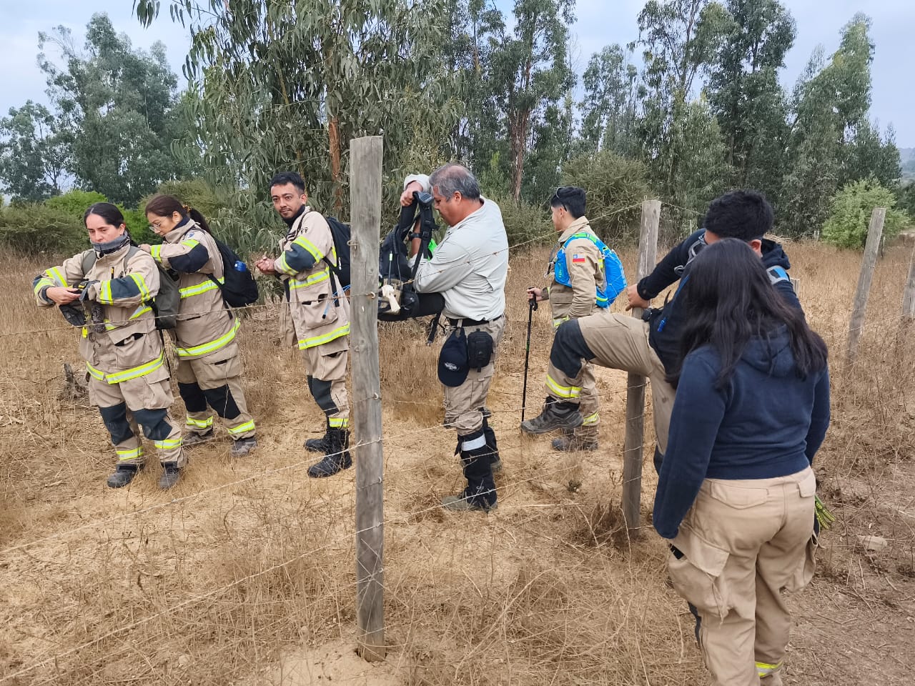 Quillota Realizan búsqueda de adulto mayor extraviado