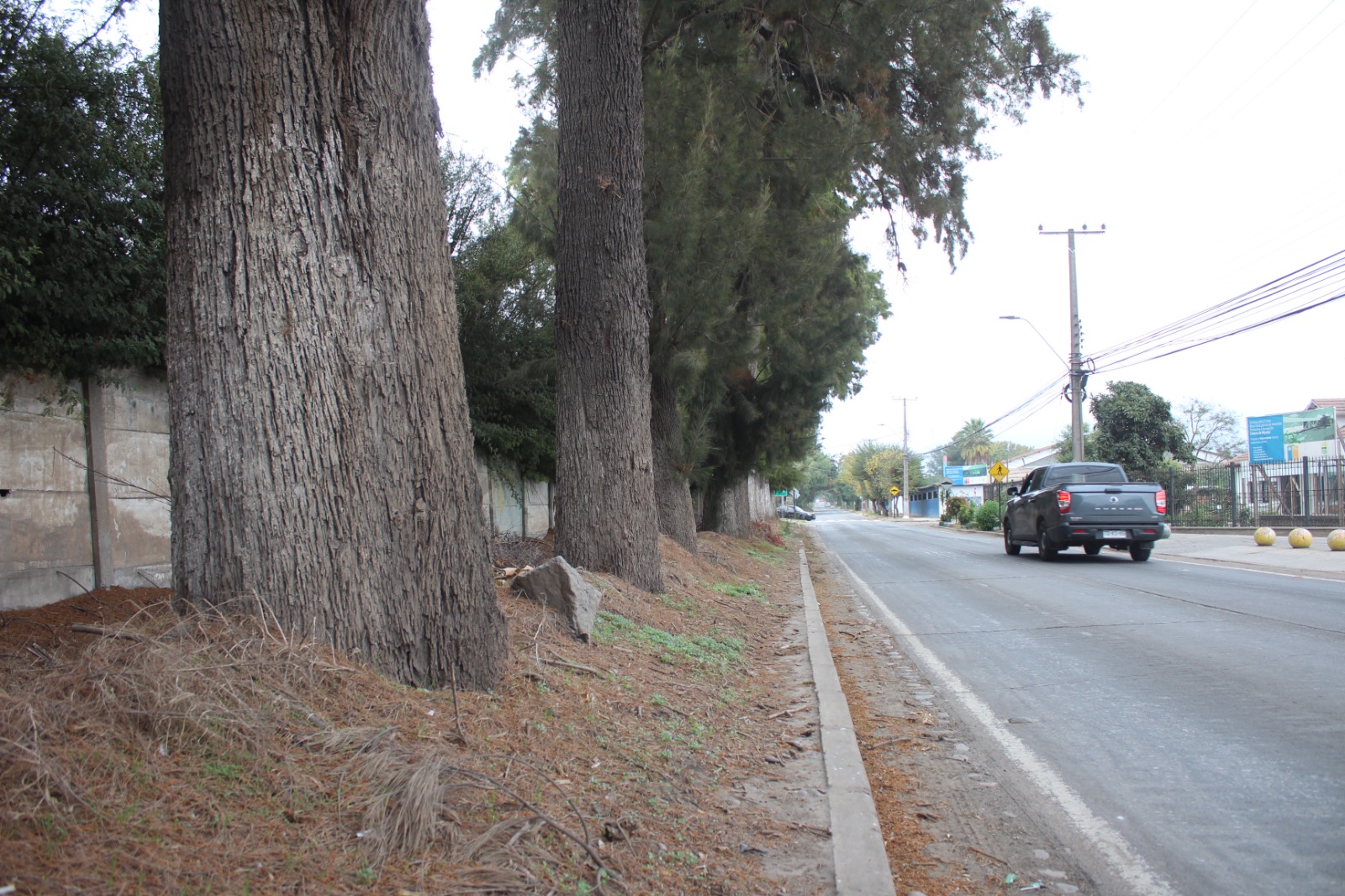 Avanza proyecto para reponer las veredas de la principal avenida de Hijuelas