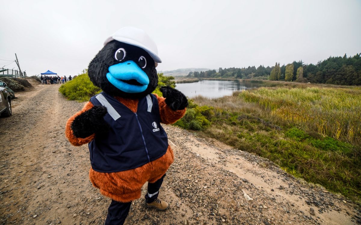 Codelco Ventanas presentó mascota que será anfitrióna de visitas al Humedal Los Maitenes Campiche