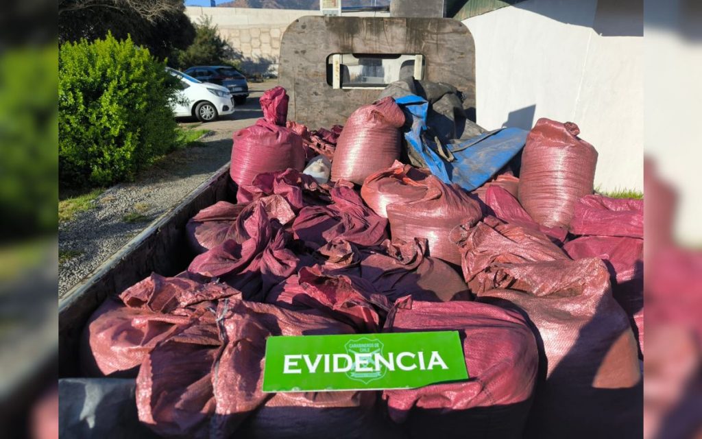 Robaron 1.600 kilos de cobre a minera e intentaron venderlos en Nogales