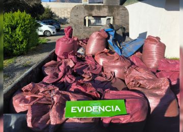 Robaron 1.600 kilos de cobre a minera e intentaron venderlos en Nogales