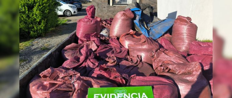 Robaron 1.600 kilos de cobre a minera e intentaron venderlos en Nogales