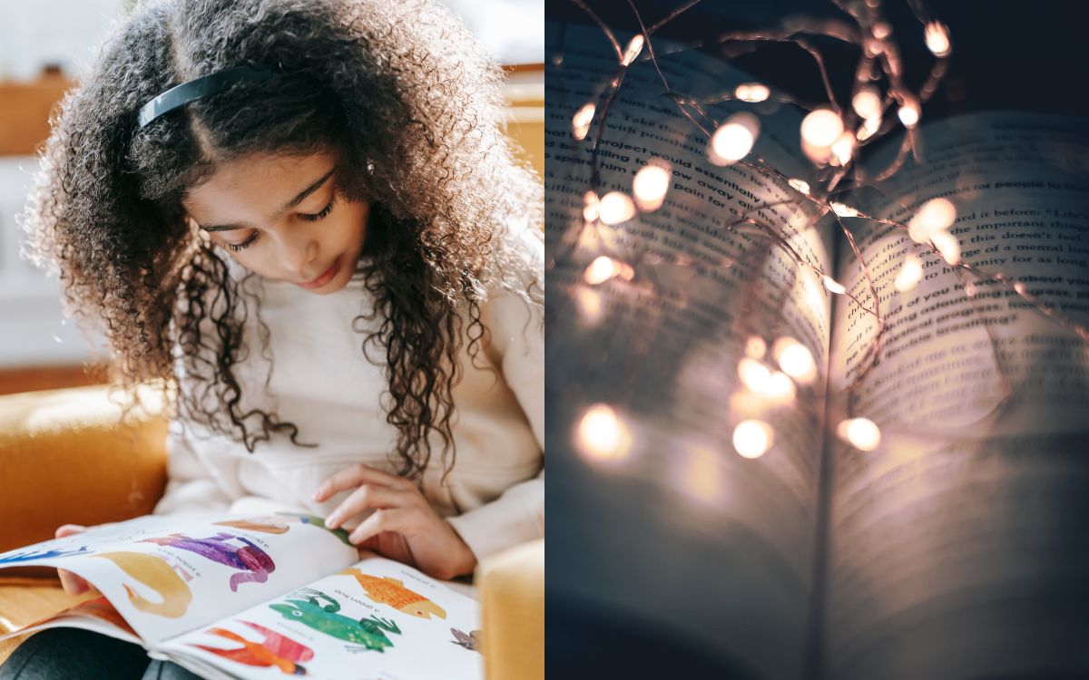 Invitan a participar en "La Noche de Los Libros" en Quillota