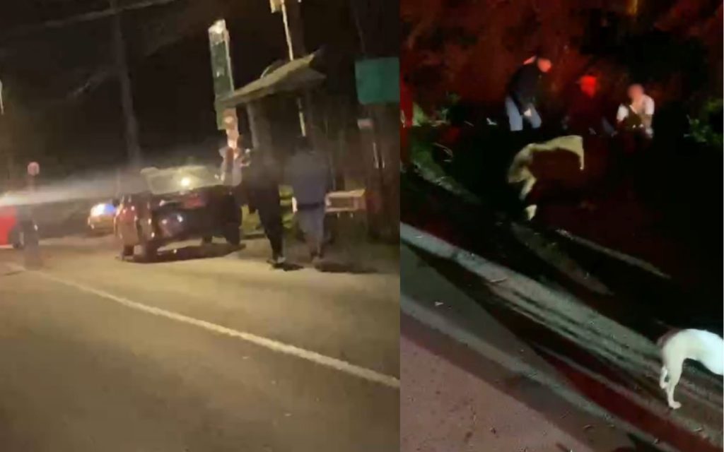 Atropello en Ocoa dejó un jinete herido y una yegua que debió ser sacrificada