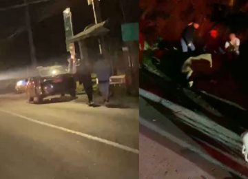 Atropello en Ocoa dejó un jinete herido y una yegua que debió ser sacrificada