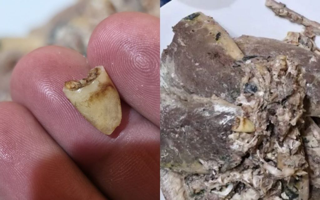 En Quintero encontraron diente dentro de una lata de jurel