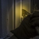 Hasta una cámara de vigilancia se robaron en una casa en El Melón