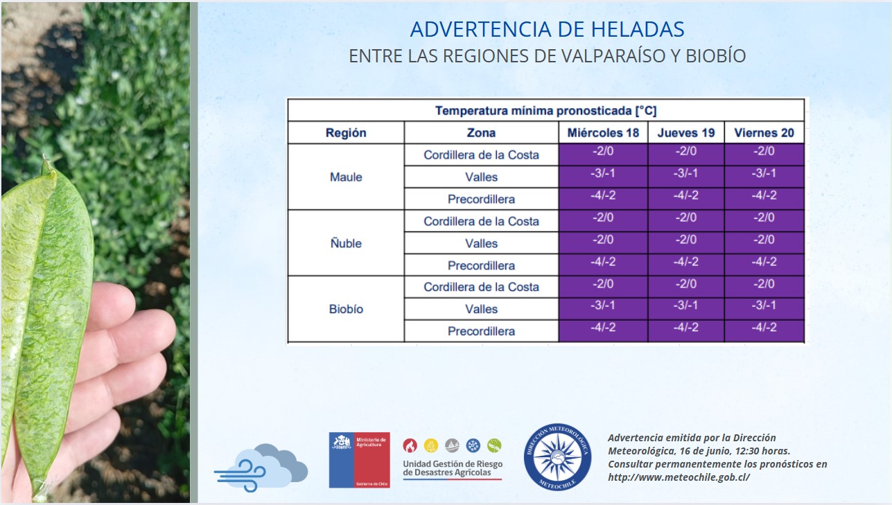 Heladas el pronóstico por comuna en la Región de Valparaíso