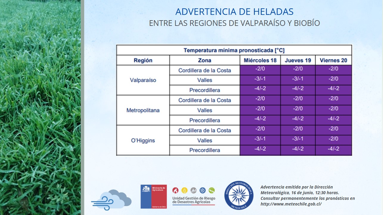Heladas: el pronóstico por comuna en la Región de Valparaíso