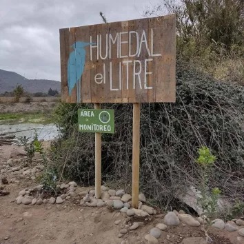 Invitan a jornada ecológica en el humedal Estero El Litre de La Calera