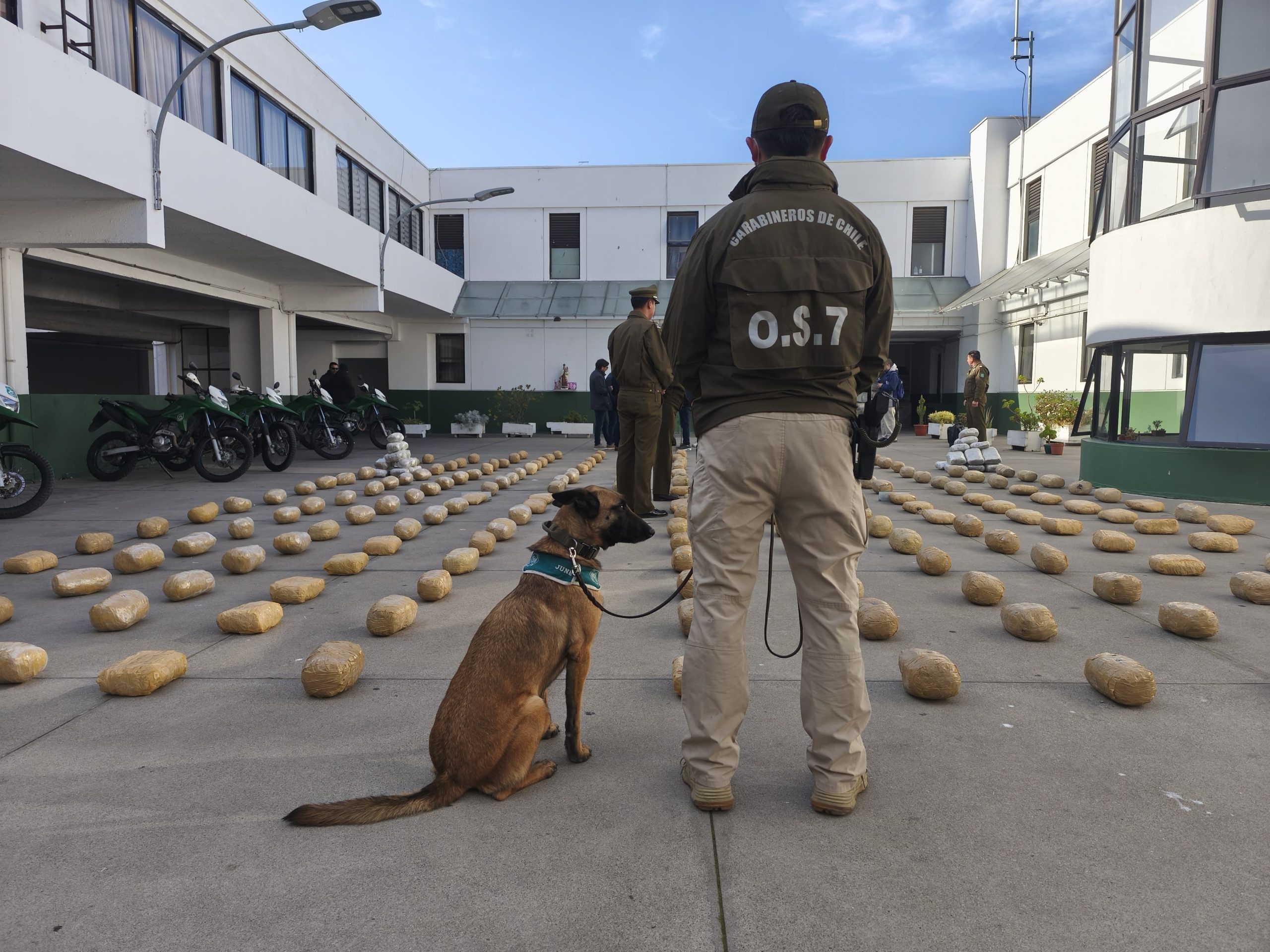 Nogales Sorprenden a choferes trasladando casi 350 kilos de droga