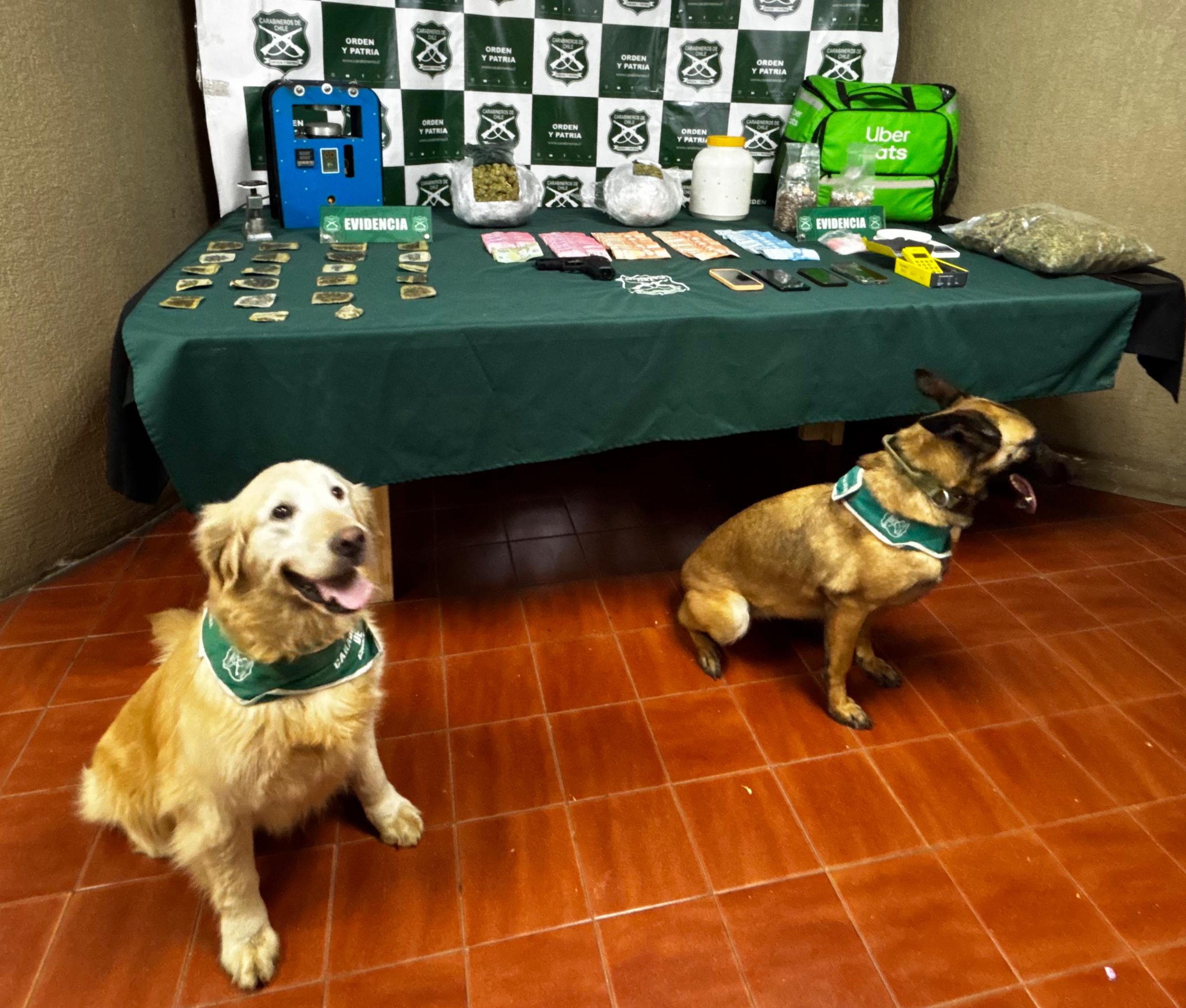 En Nogales detienen a tres personas por tráfico incautaron marihuana y hongos alucinógenos