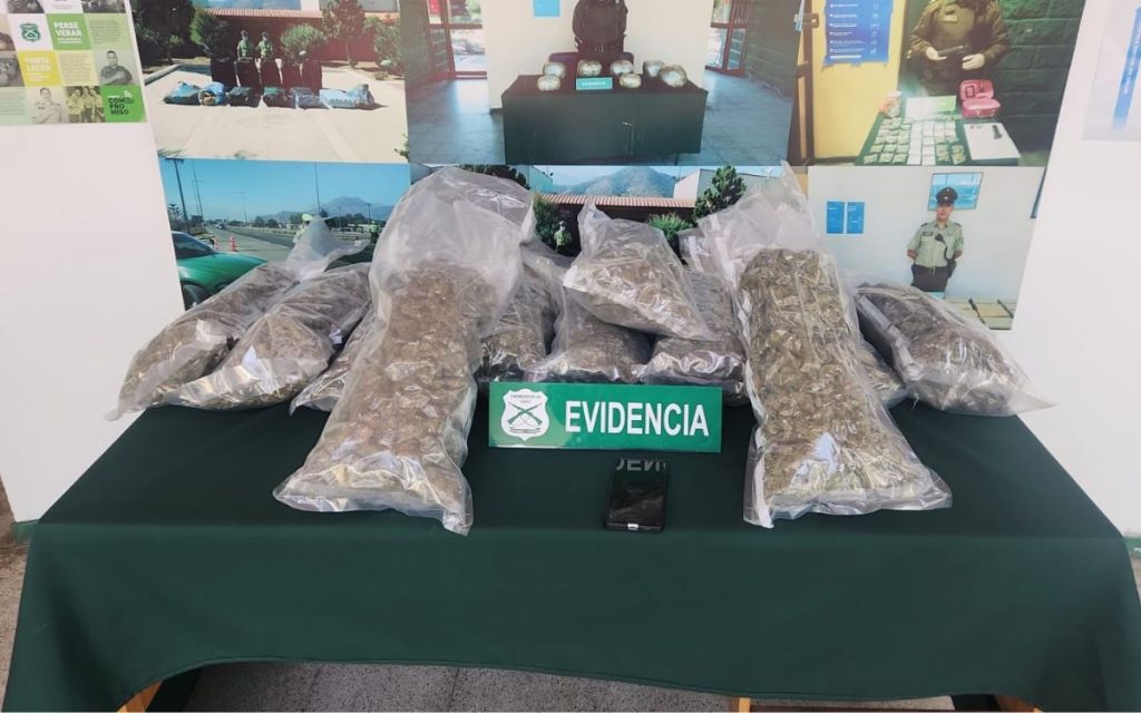 Hijuelas: Pasajero de bus trasladaba 11 kilos de marihuana en maleta