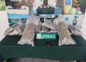 Hijuelas: Pasajero de bus trasladaba 11 kilos de marihuana en maleta