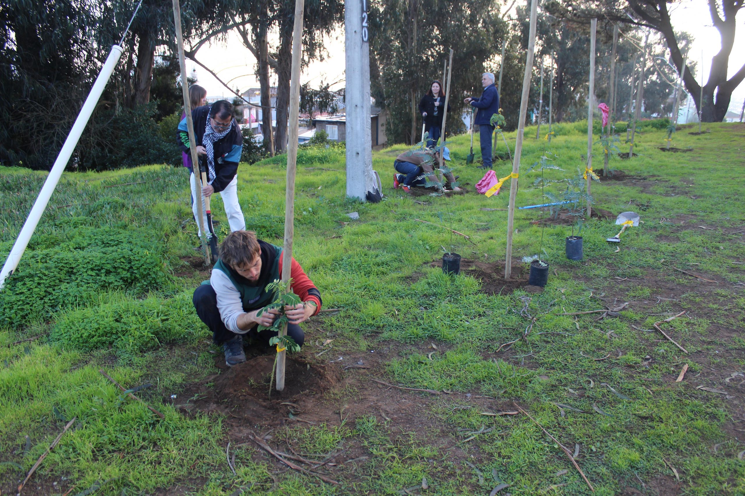 Representantes de la comunidad y del municipio colaboraron activamente en la arborización del parque, fortaleciendo el compromiso ciudadano con el medioambiente.