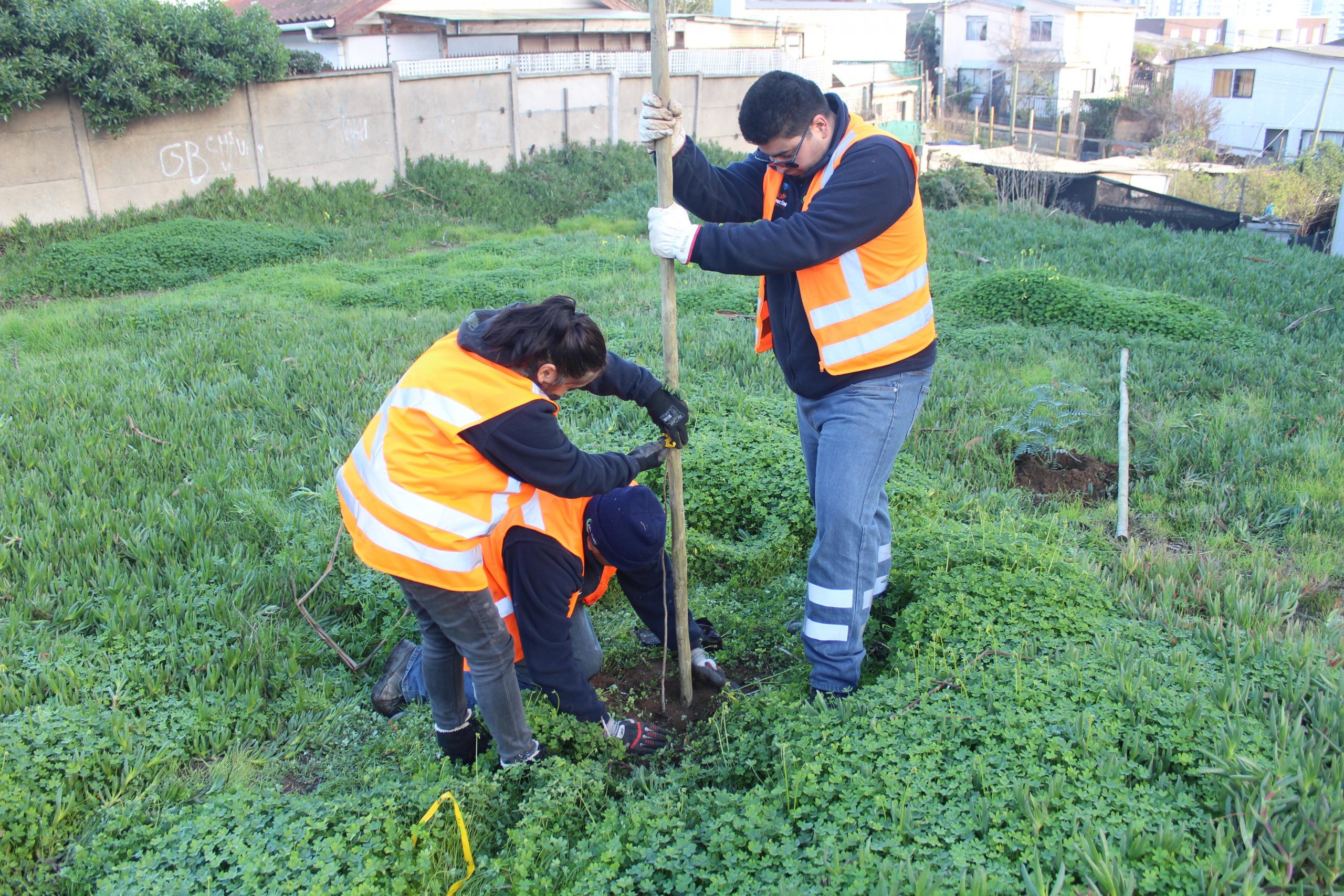 La actividad contempló la plantación de 120 árboles nativos, como pimientos, quebrachos y maquis, en reemplazo de especies deterioradas.
