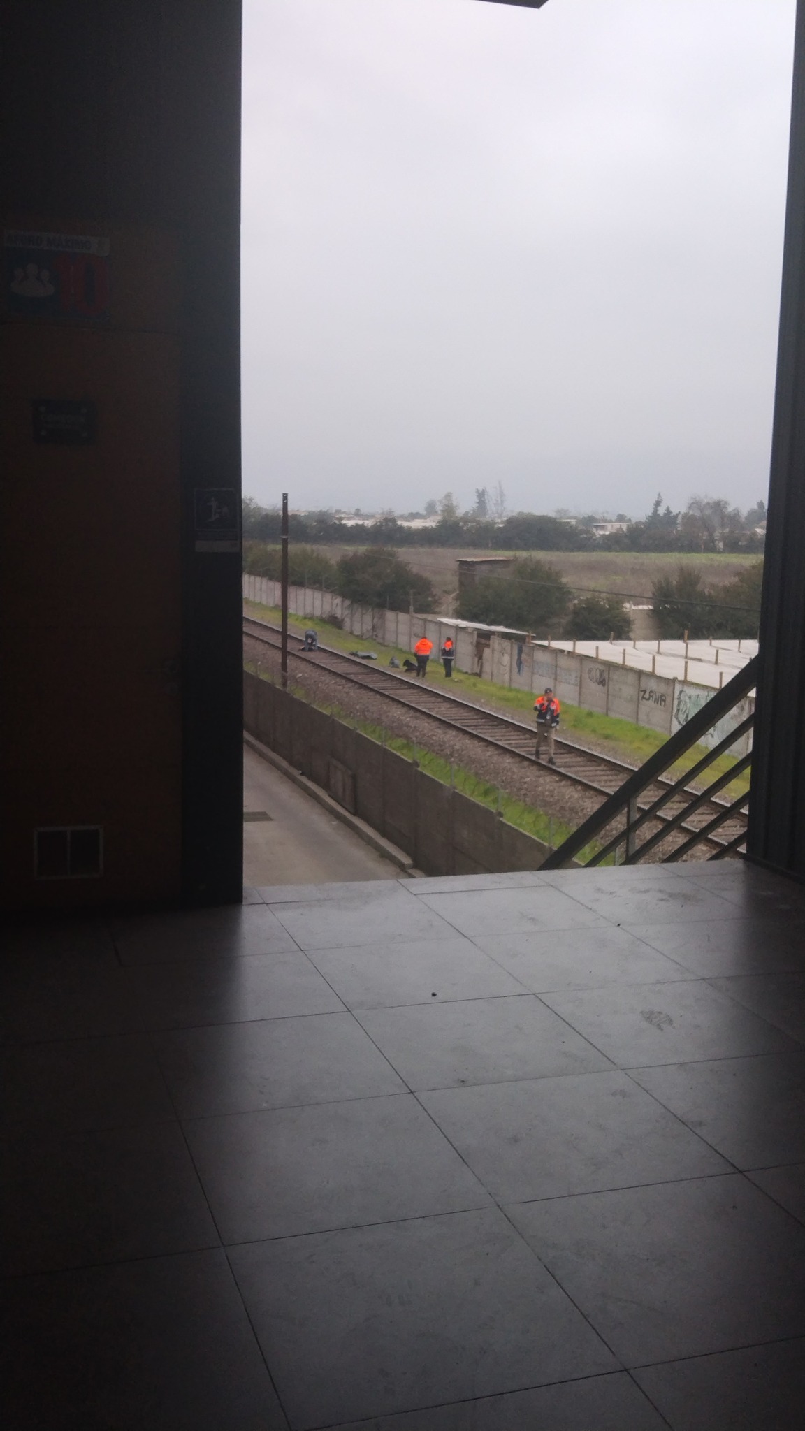 Perritos murieron atropellados por tren en Quillota