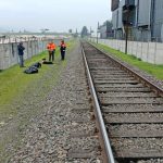 Perritos sufrieron amputación tras ser atropellados por tren en Quillota