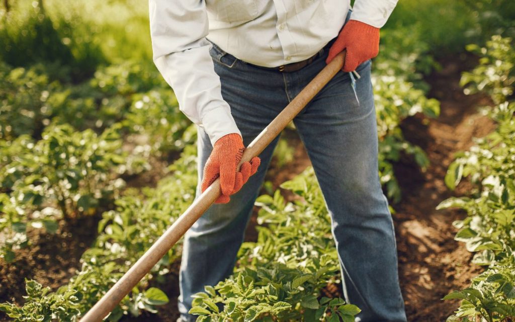 Quillota será sede de evento sobre agricultura sostenible