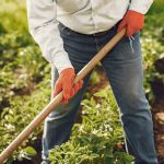 Quillota será sede de evento sobre agricultura sostenible